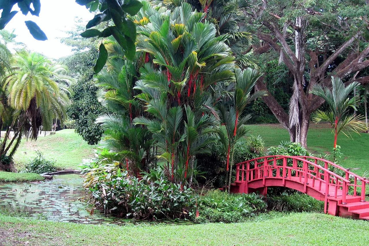 Jardim Botânico da UPR