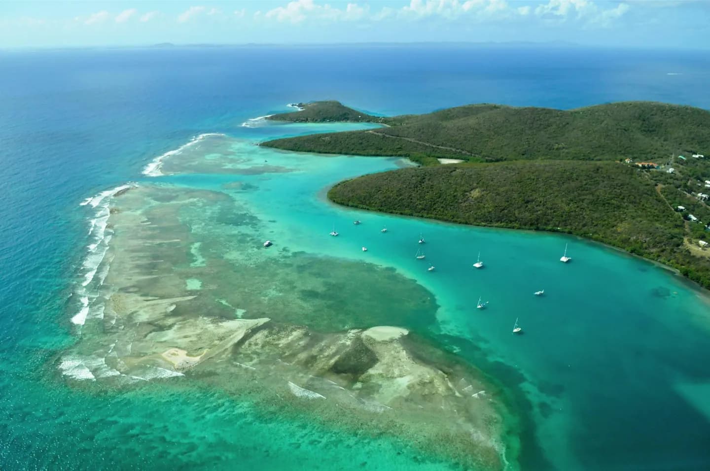 Rainforest and Dry Forest · 2