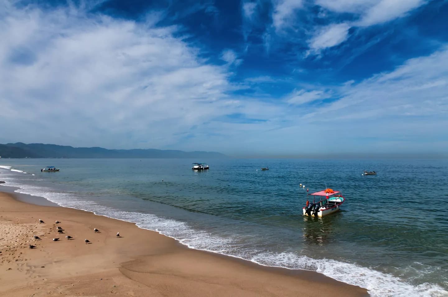 Bahía de Banderas Municipality · 2