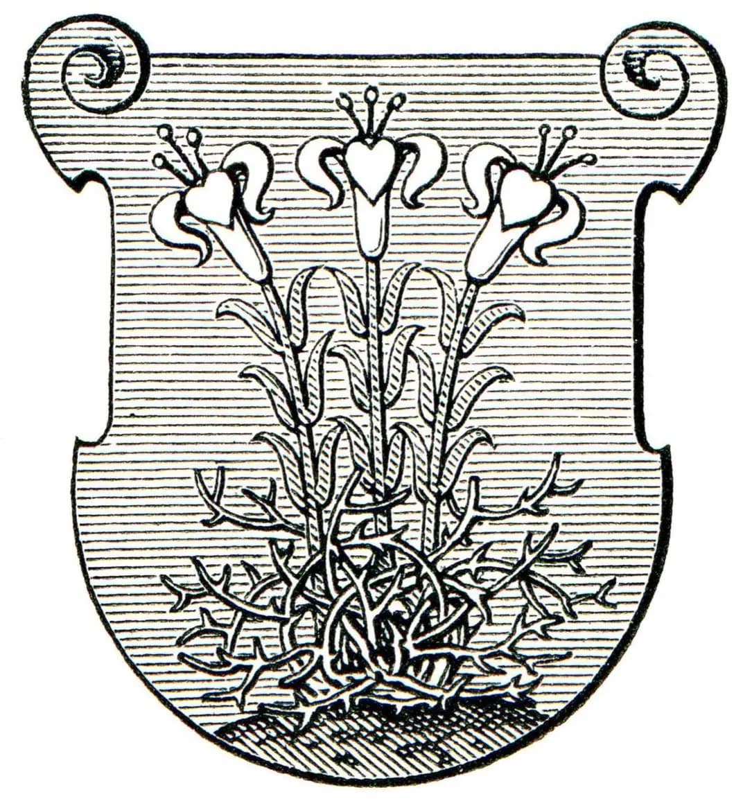 Museum des Kulturzentrums der Ursulinen · 2