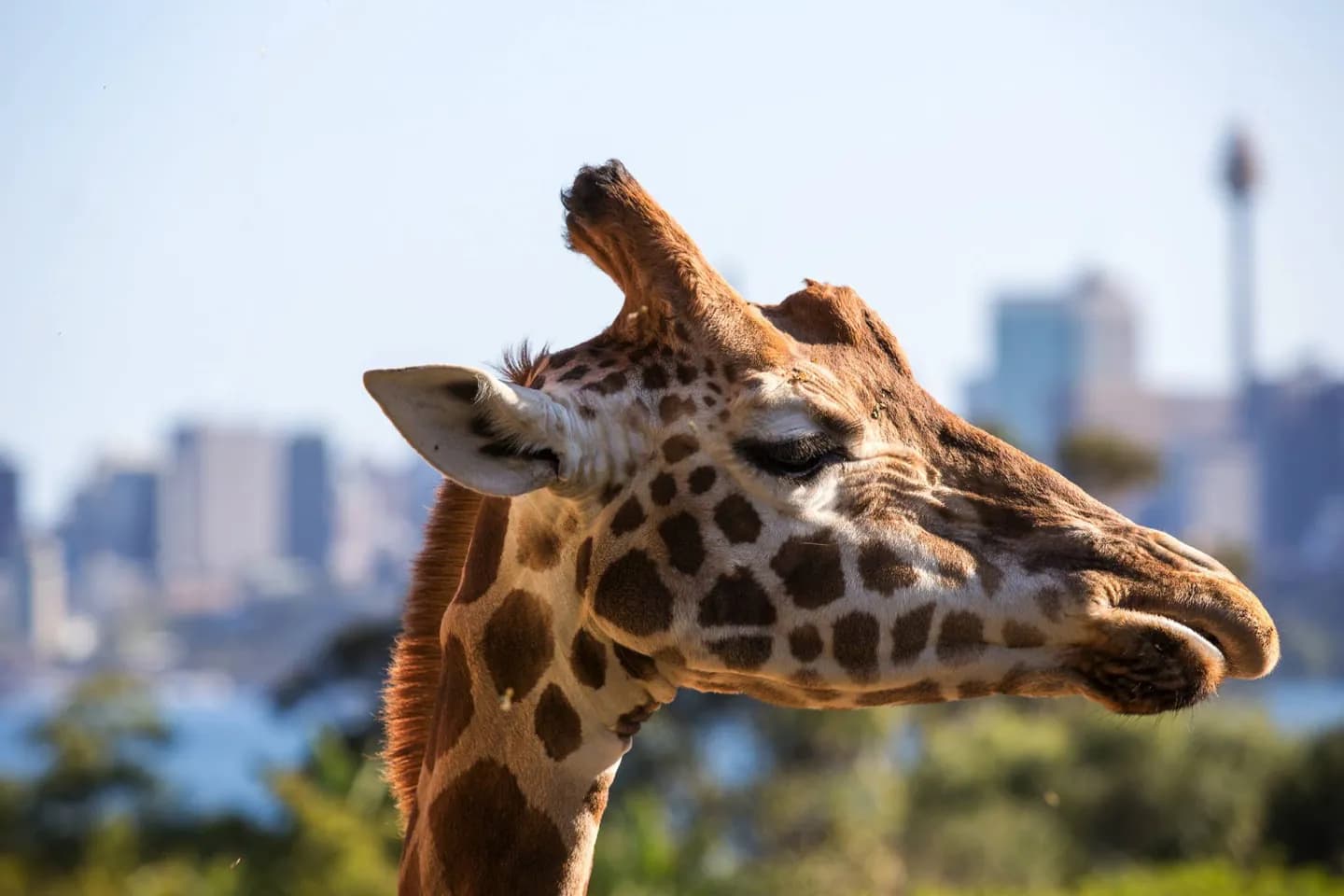 Australia Zoo · 2