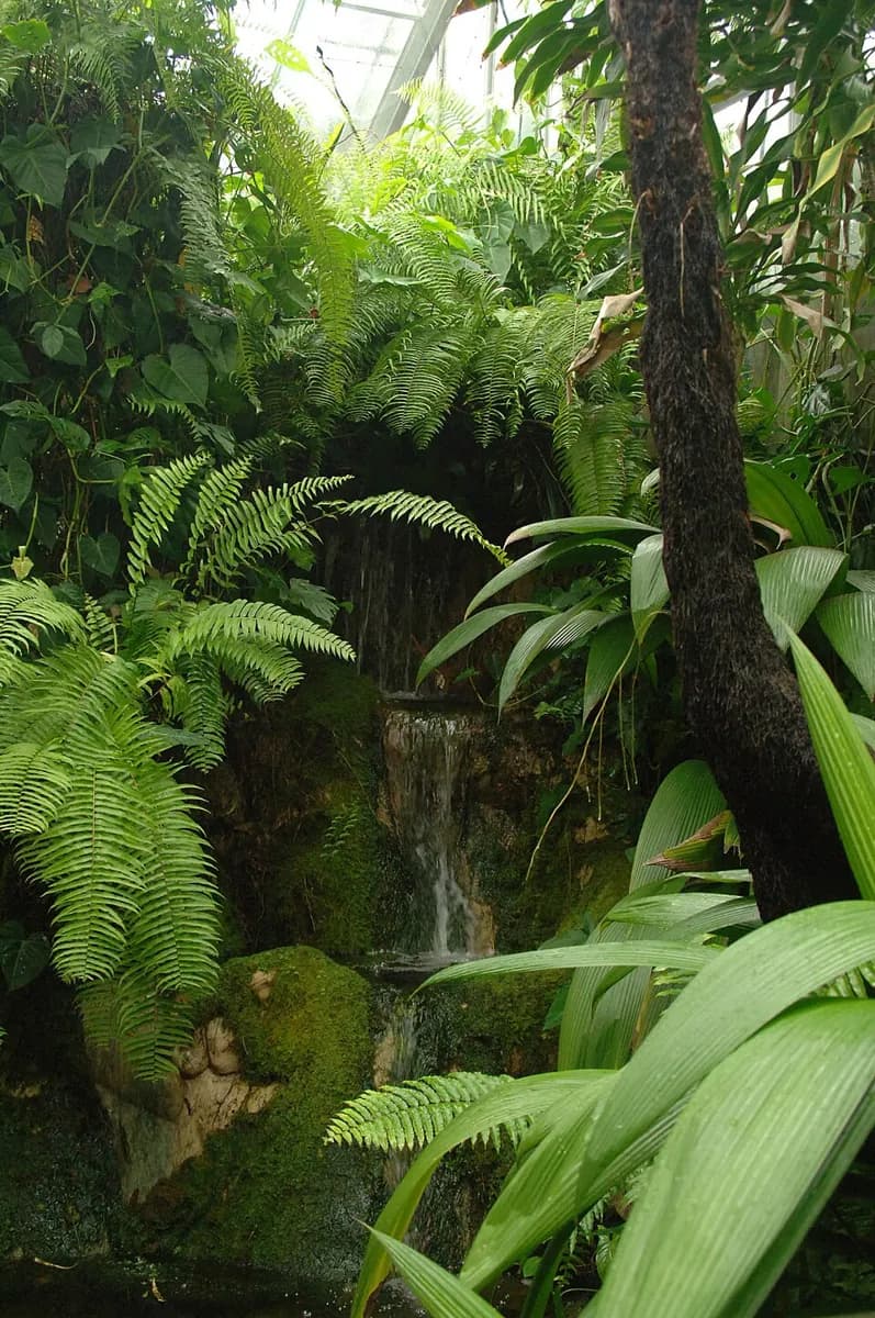 Australian Butterfly Sanctuary