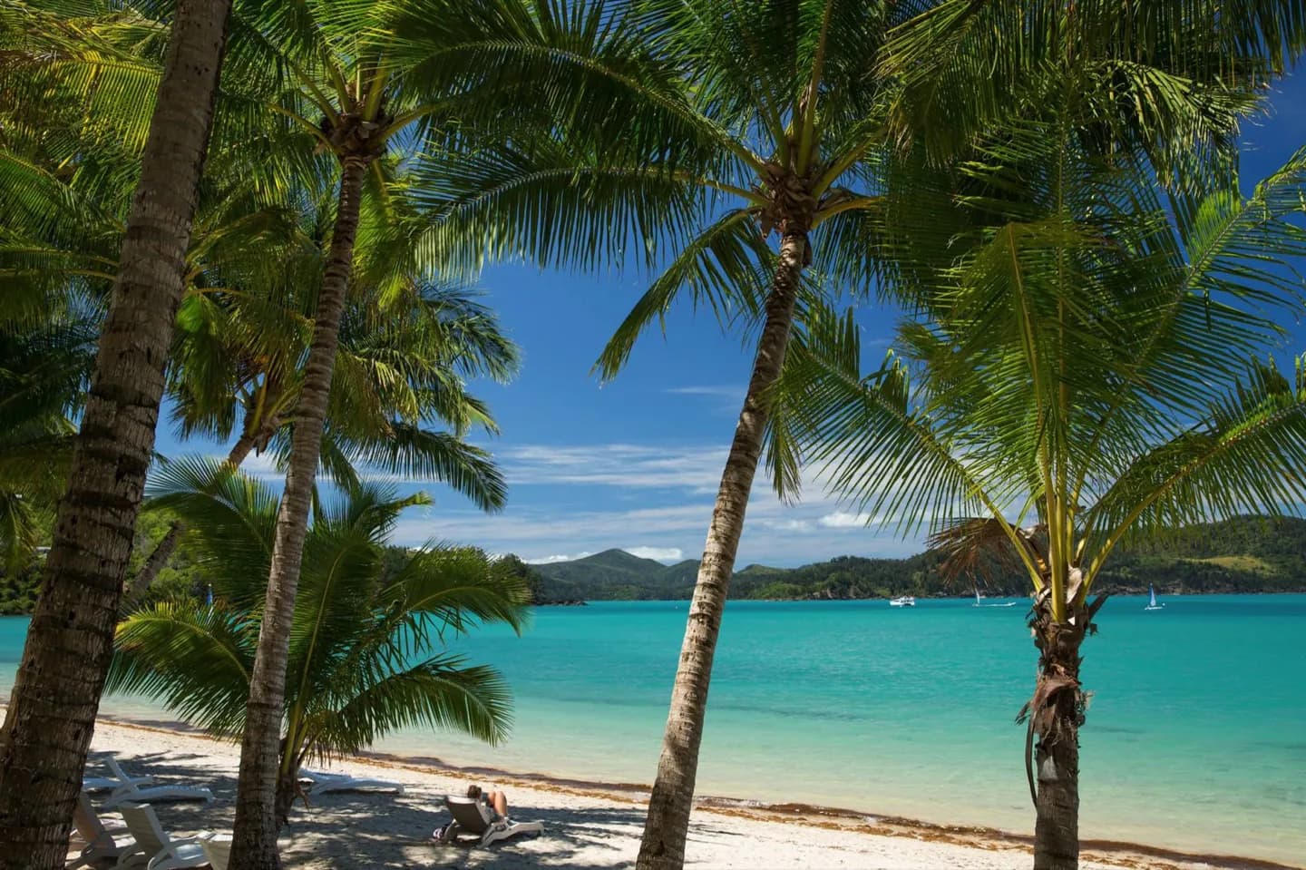 Hamilton Island