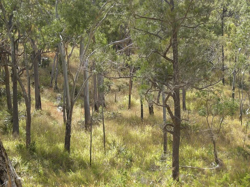 Mount Archer Nationalpark