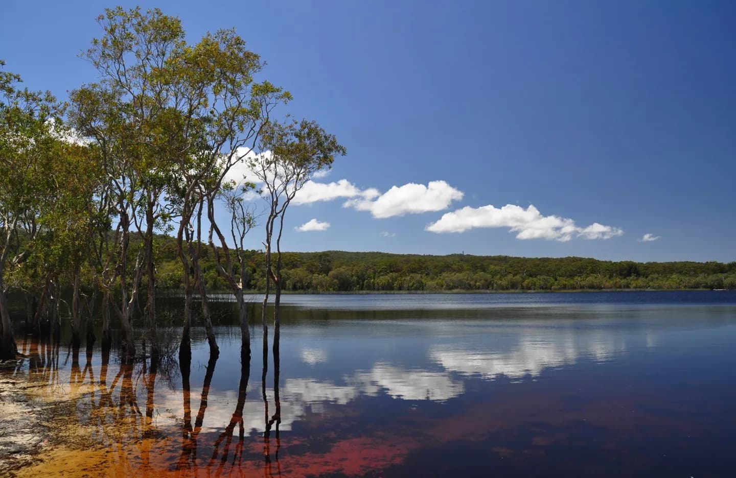 Minjerribah (Ilha North Stradbroke) · 2