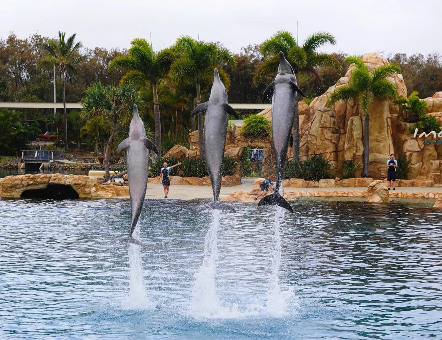 Sea World