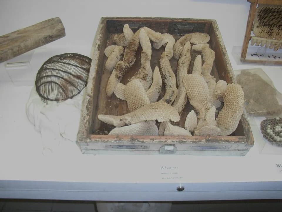Bee Museum of Rhodes