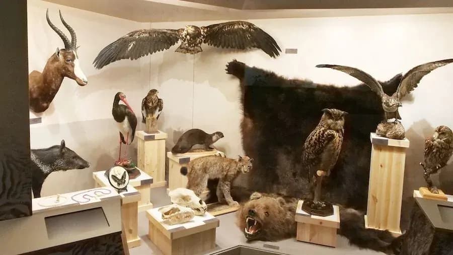 Latvian National Museum of Natural History