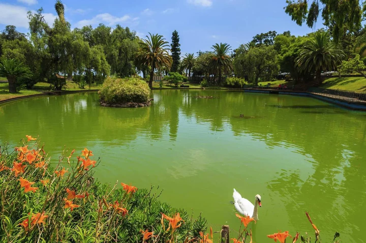 Blumenau · 2