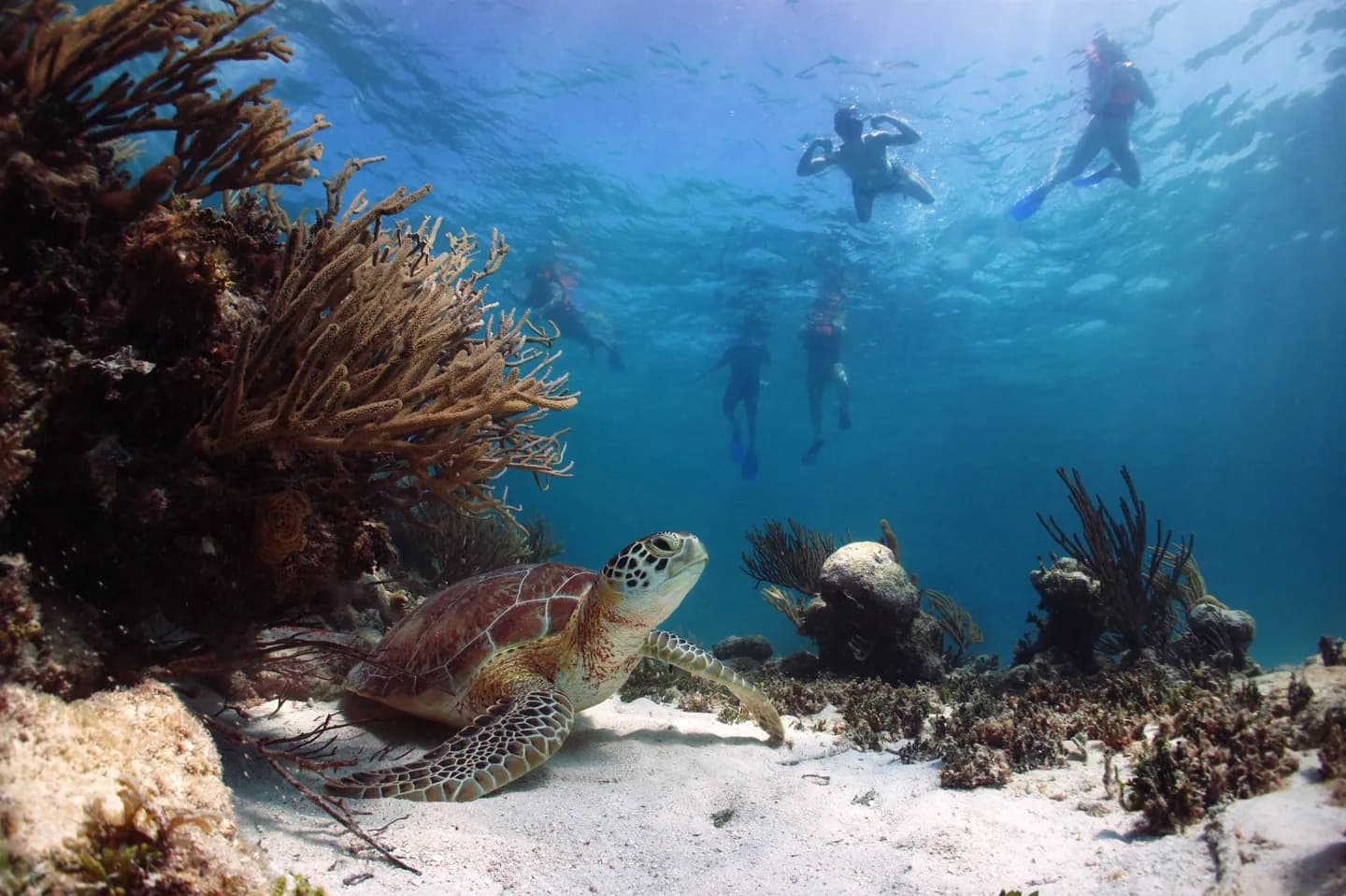 Akumal · 2