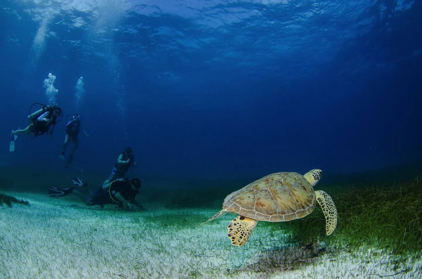 Cozumel · 2