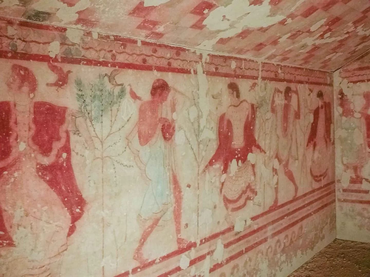 Tarquinia