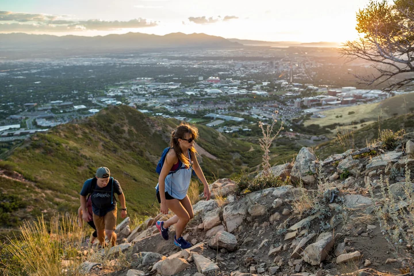 The Living Room Trail