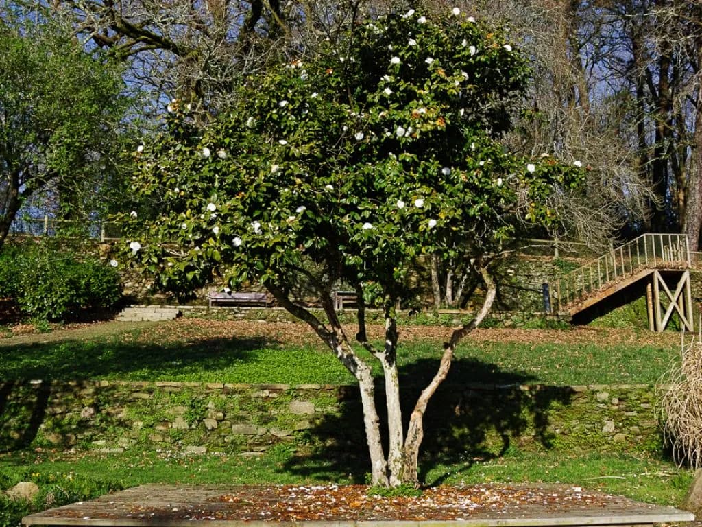 Finca du parc Espiño