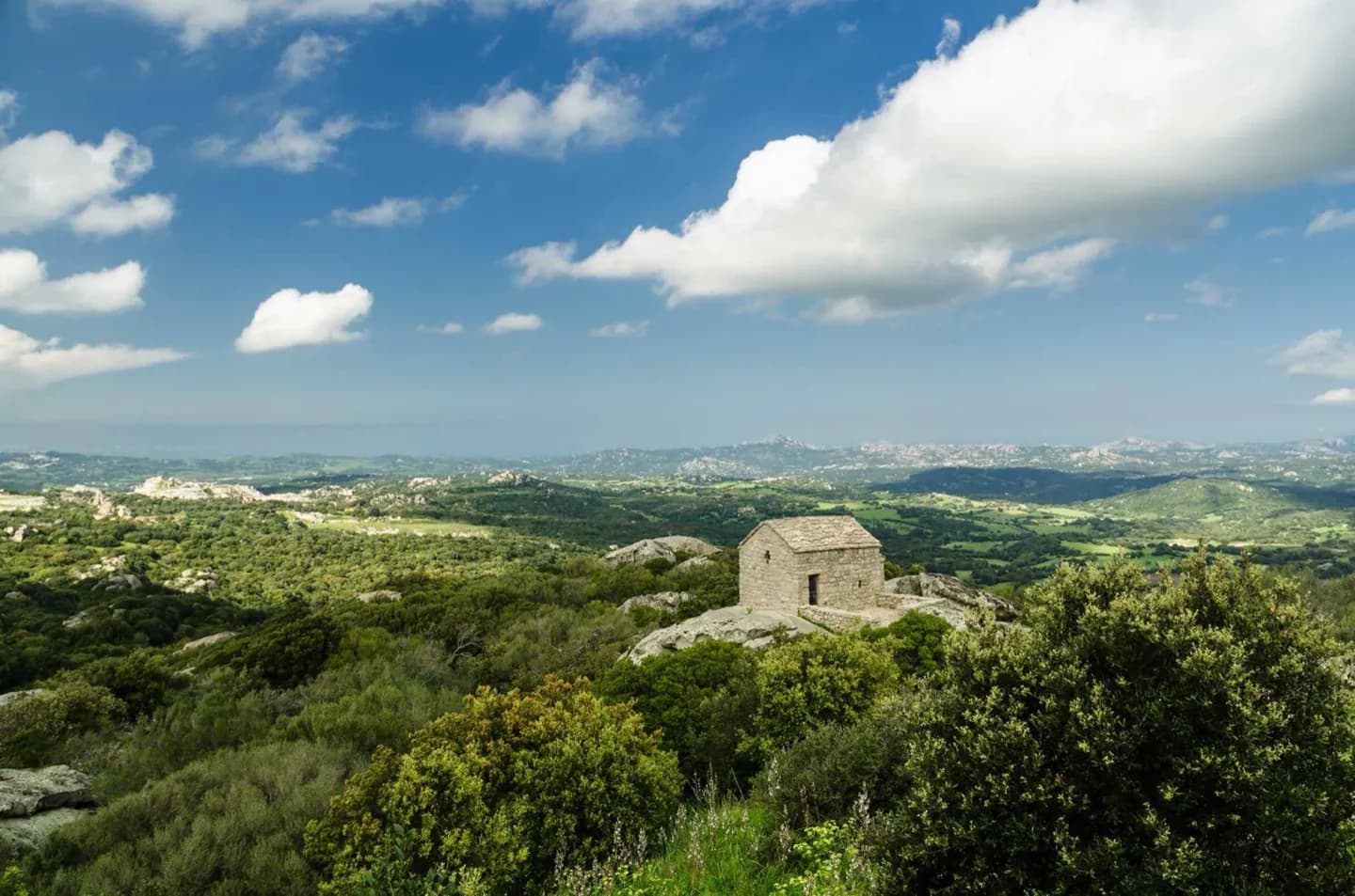 Olbia Through Time