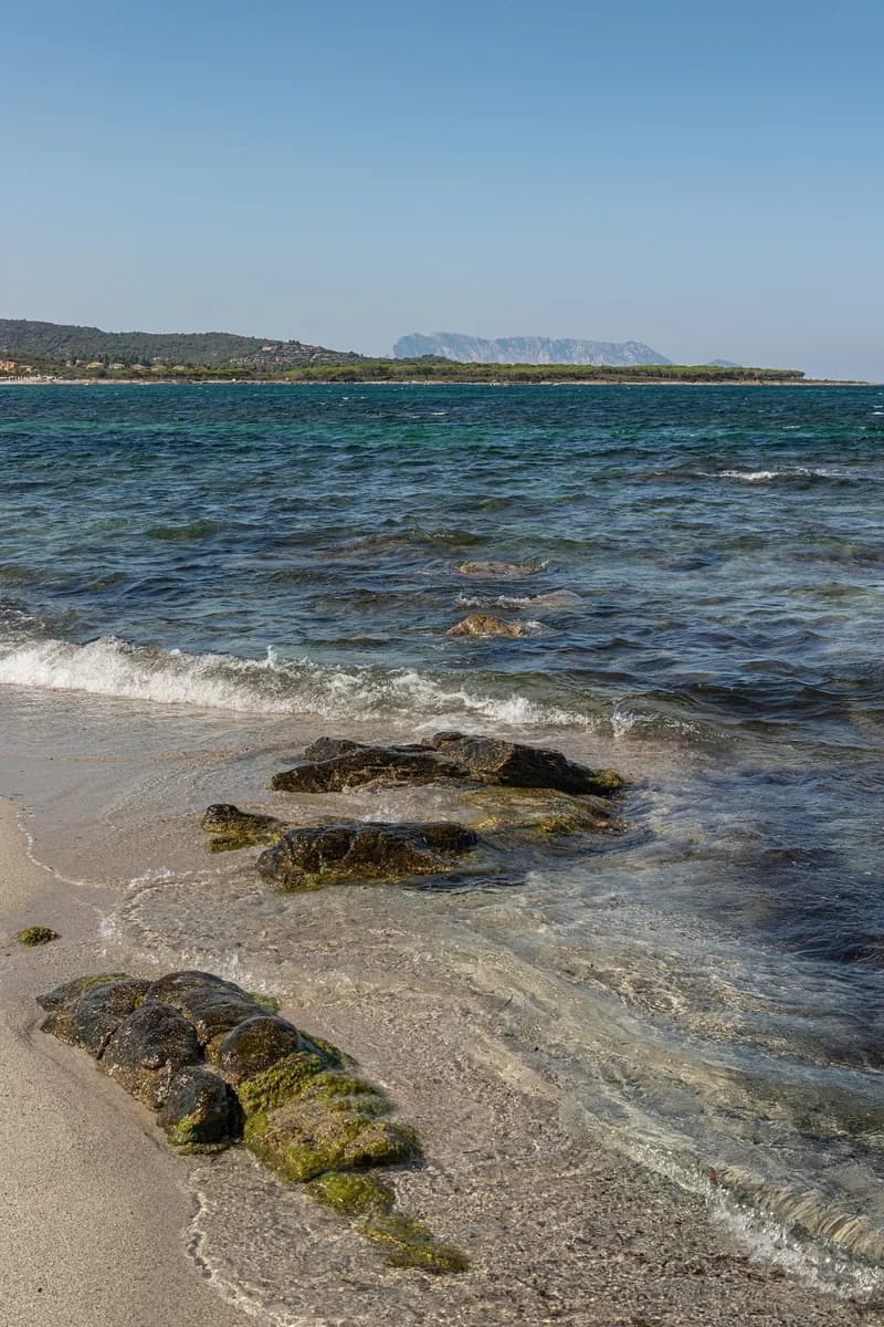 Tavolara Island