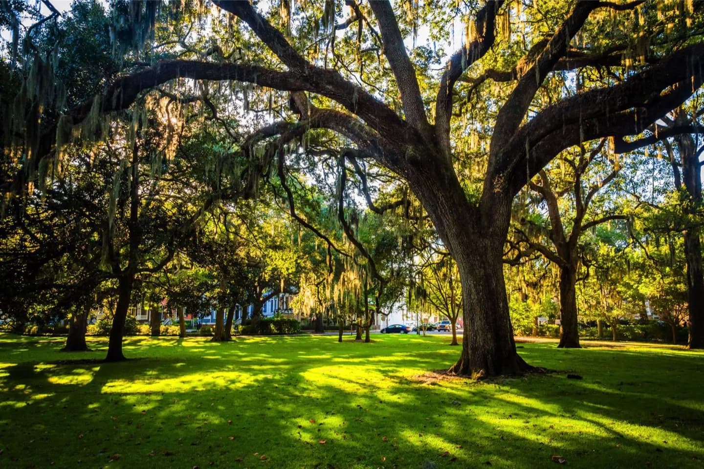 Isle of Hope