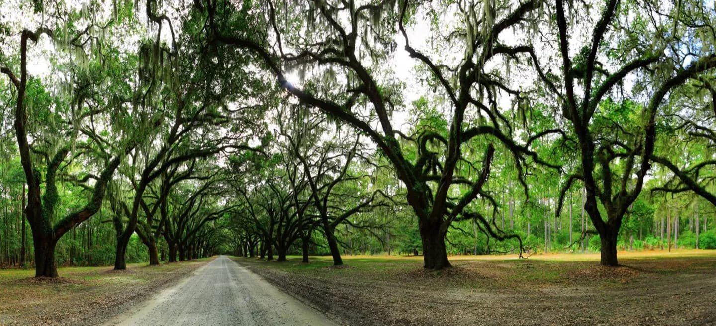 Isle of Hope · 2