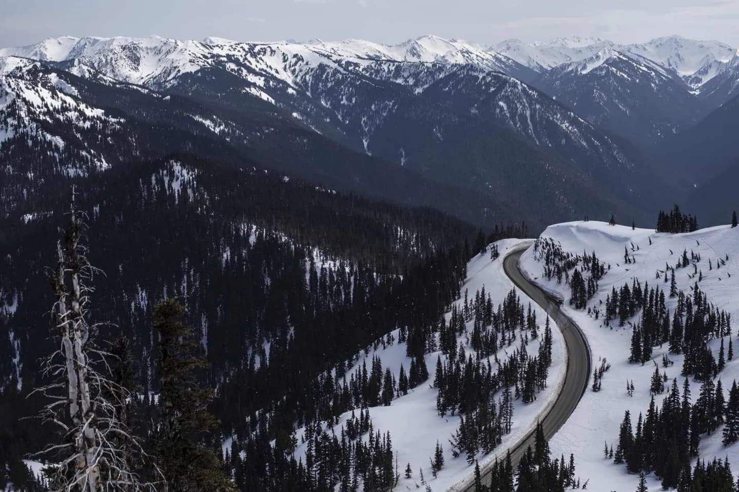 Olympic Mountains