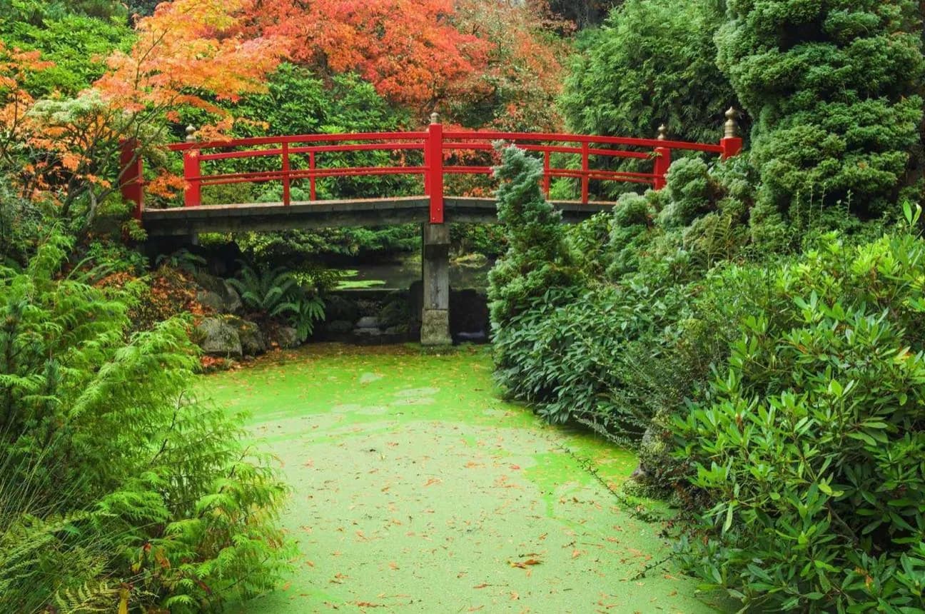 Jardín japonés de Seattle