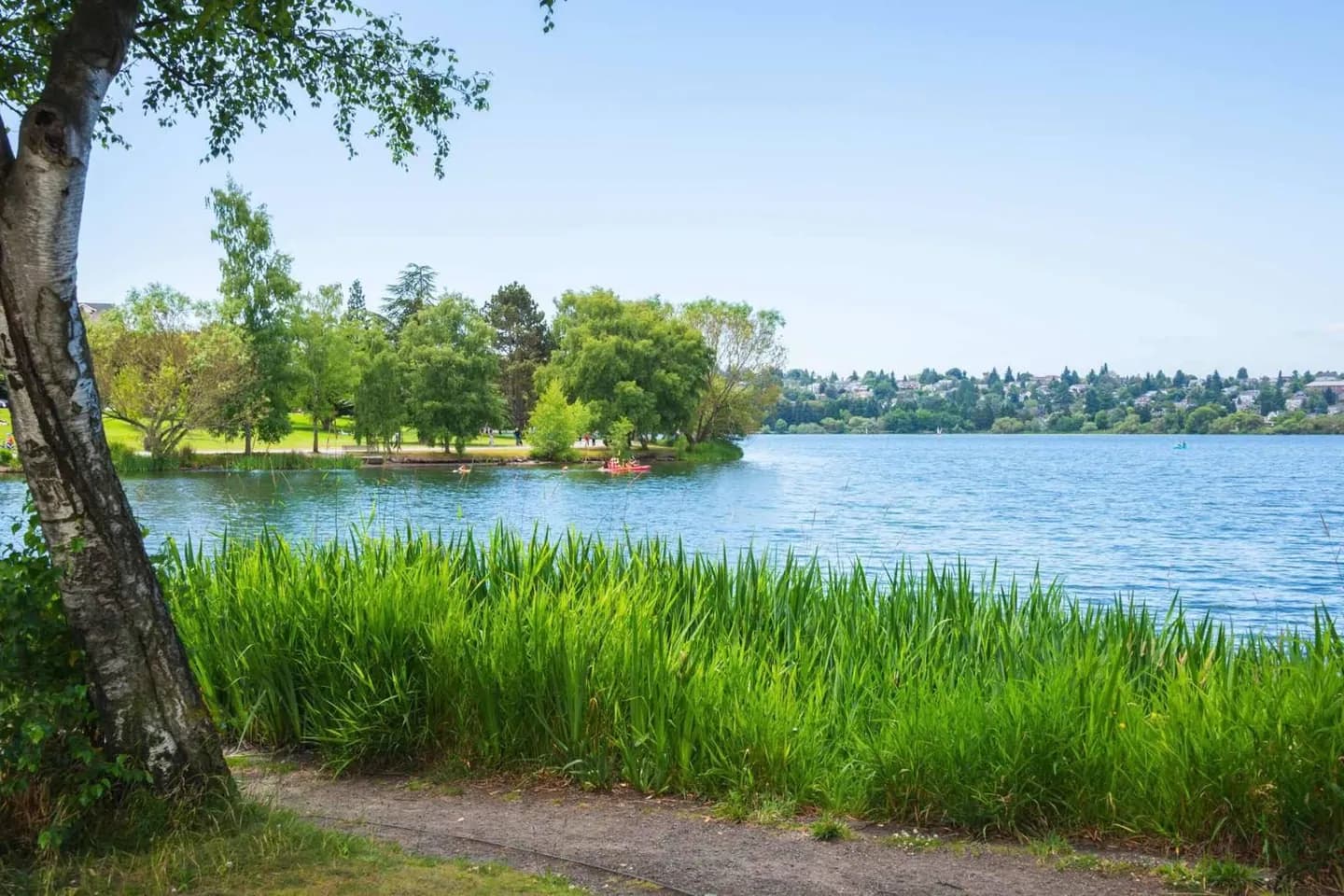 Parque Magnuson · 2
