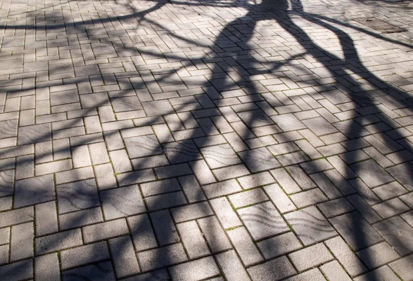 Tilikum Place Park · 2