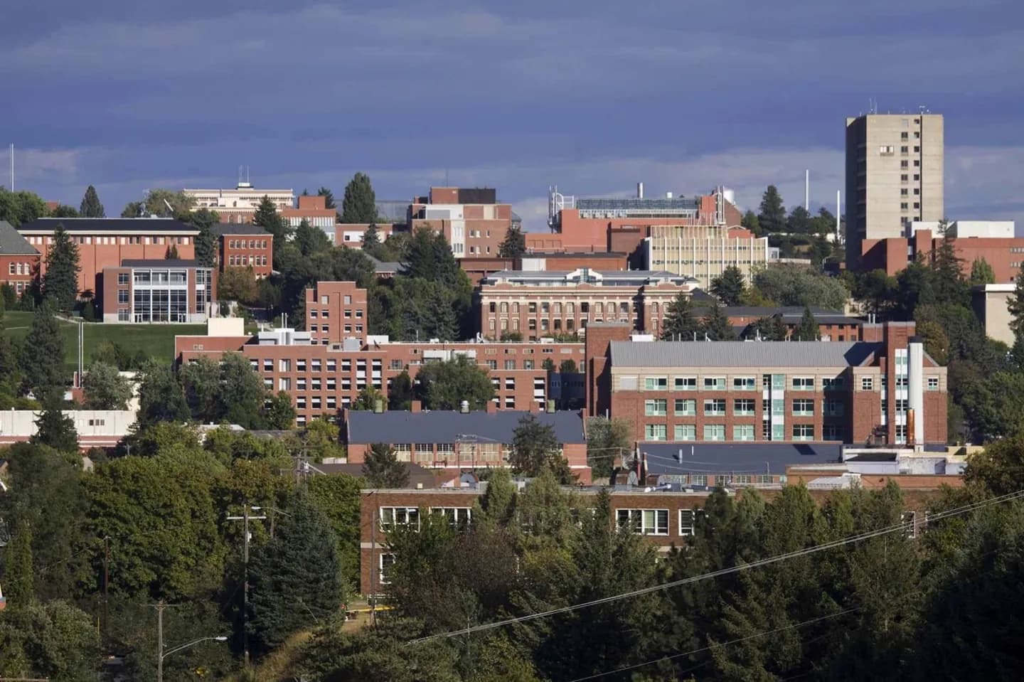 Université de Washington · 2