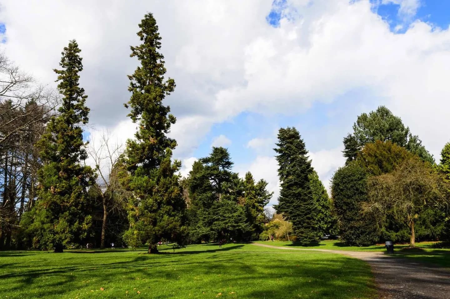 Freiwilligenpark · 2