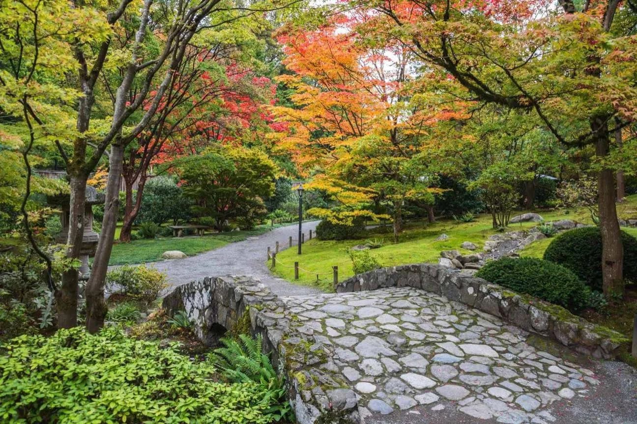 华盛顿公园植物园