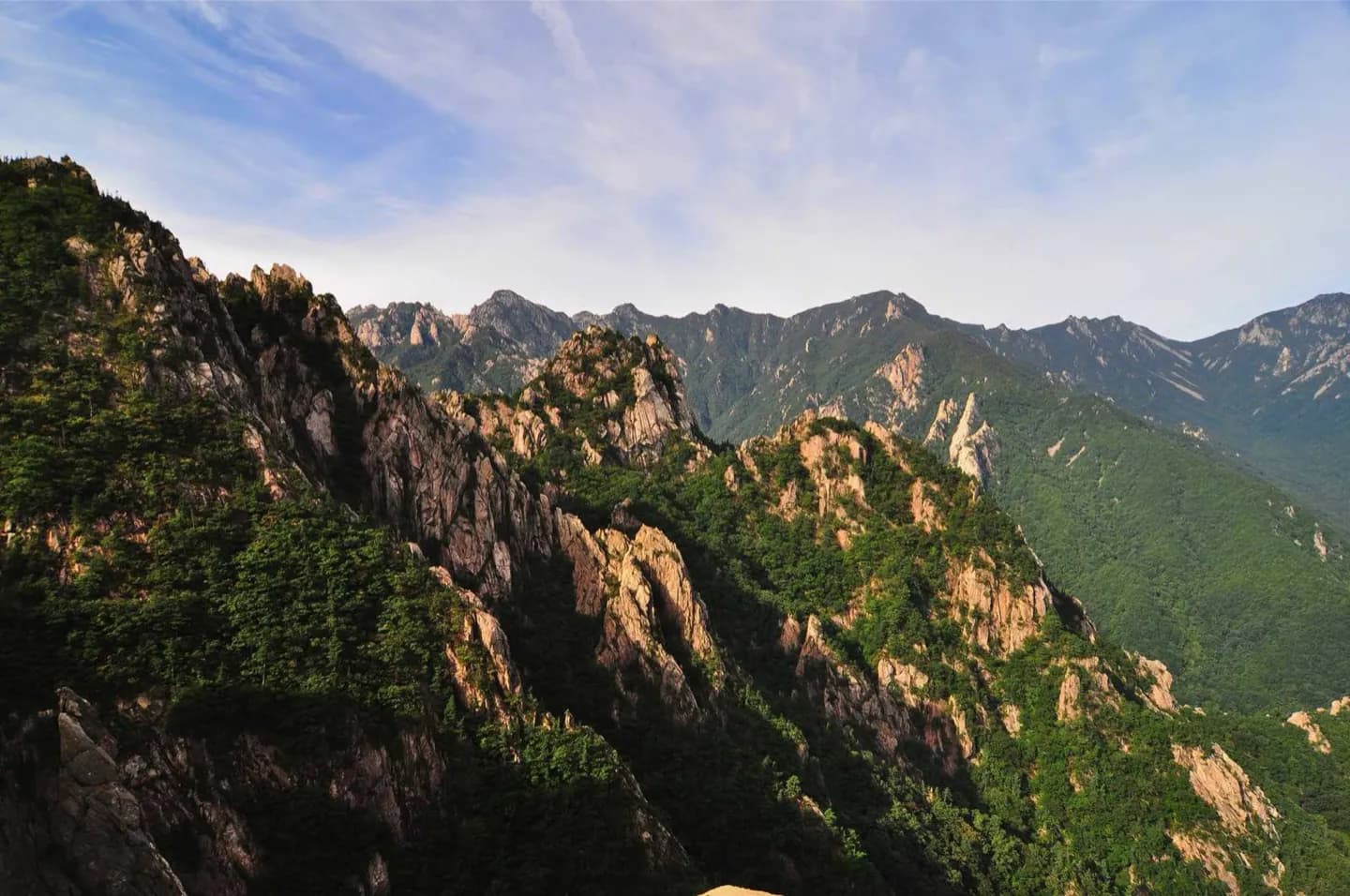 Seoul Forest