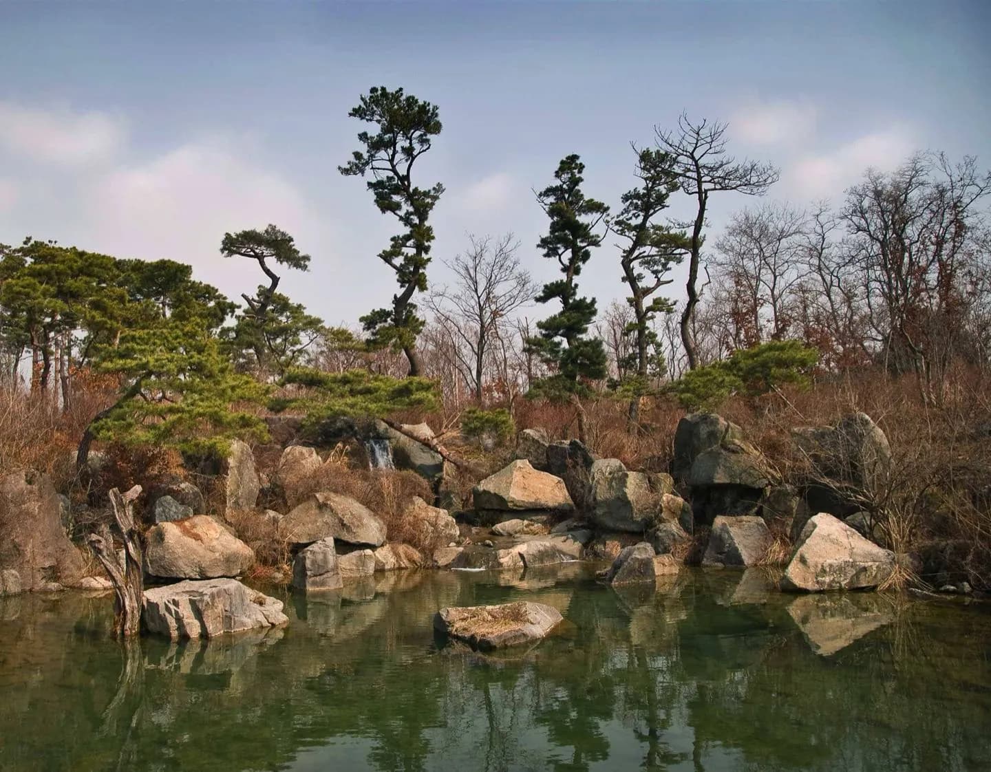 Seoul Forest · 2