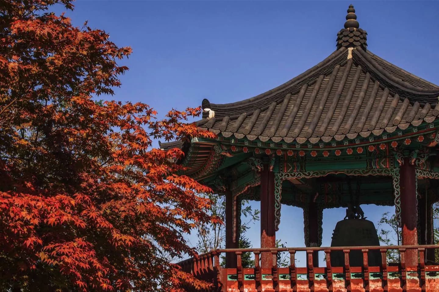 Tapgol Park