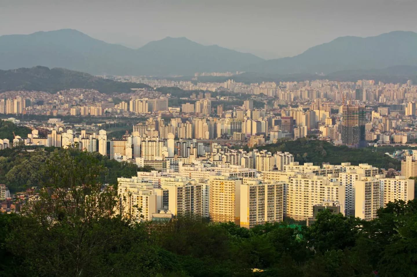 Lettura di Seoul per area · 2