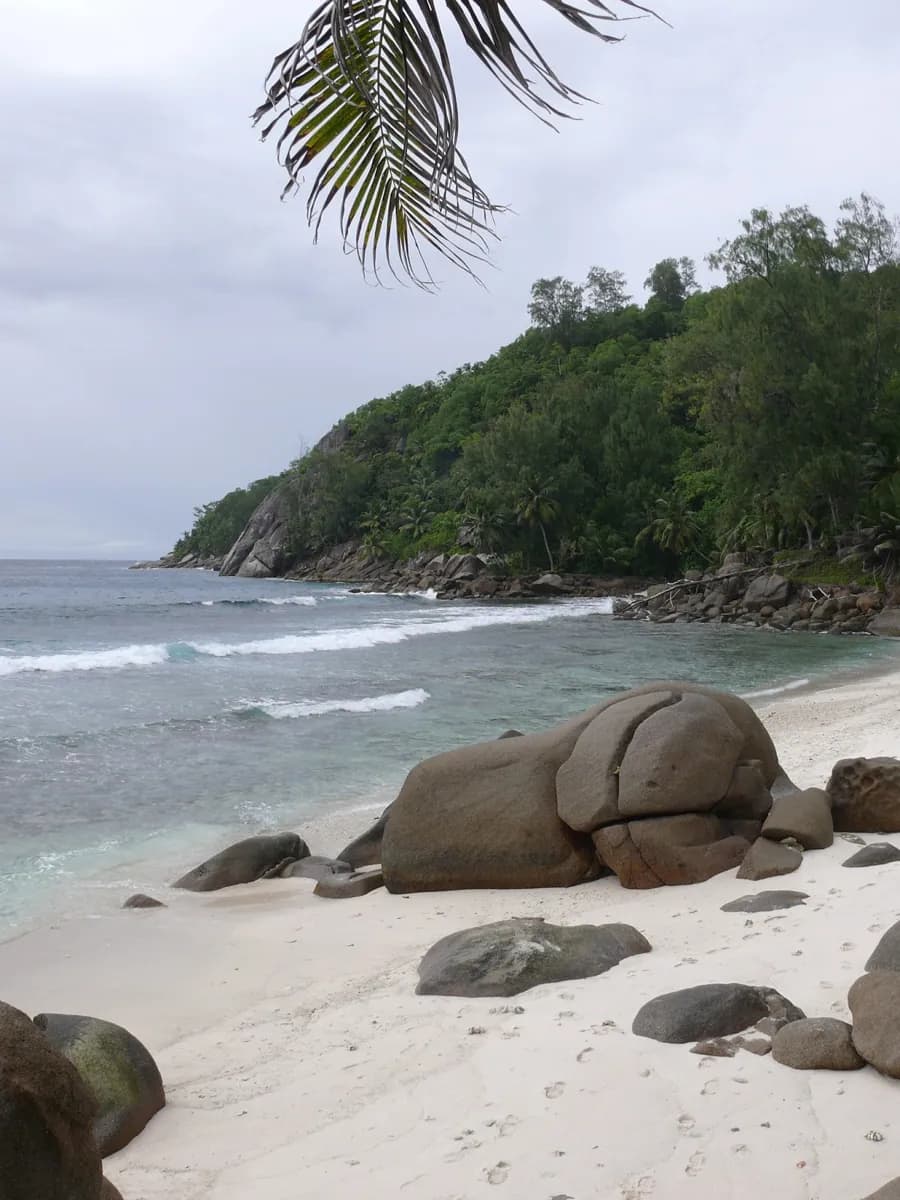 Anse Capucins