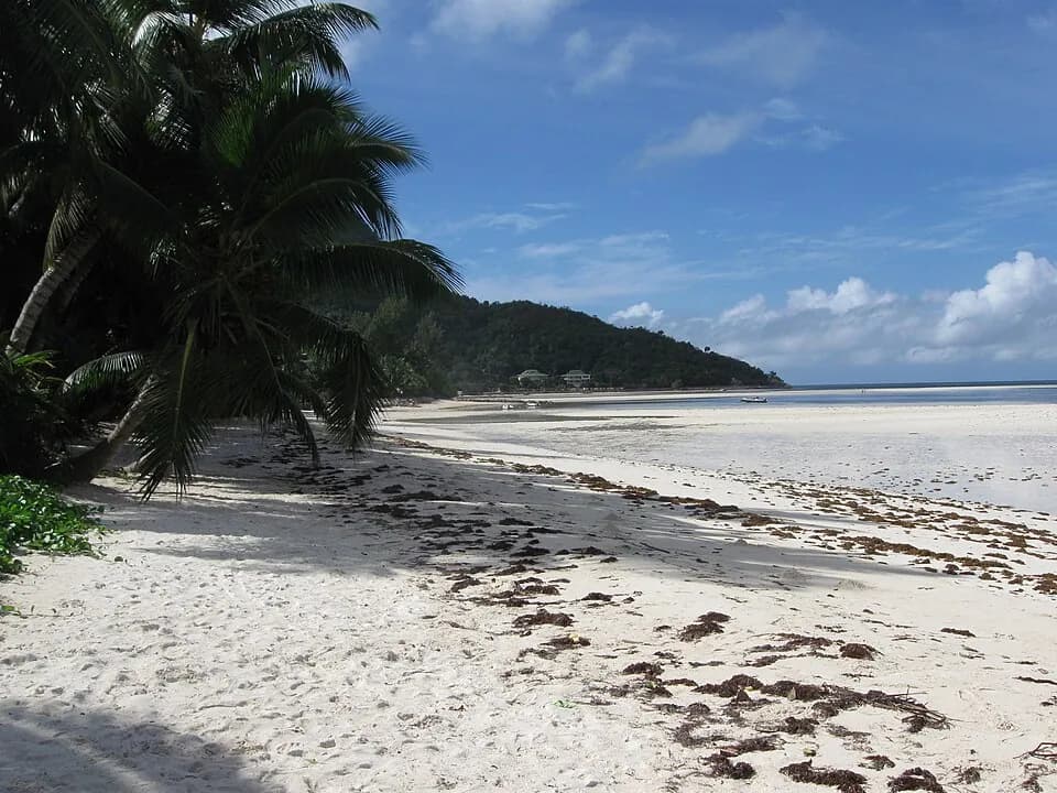 Großer Anse Praslin