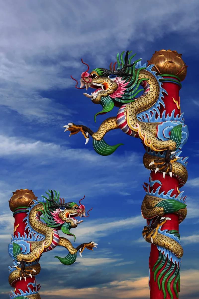 Camadas de Design de Xangai · 2