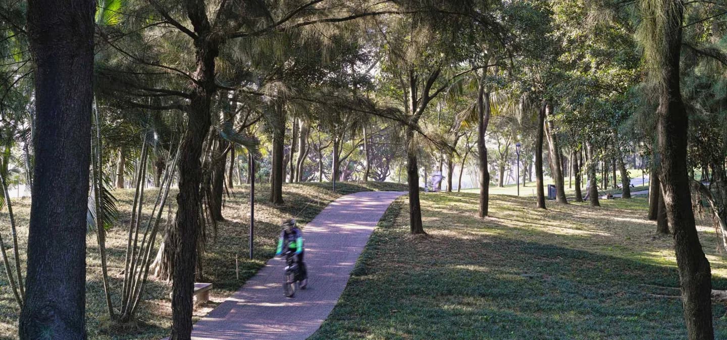 Cycling in Shenzhen