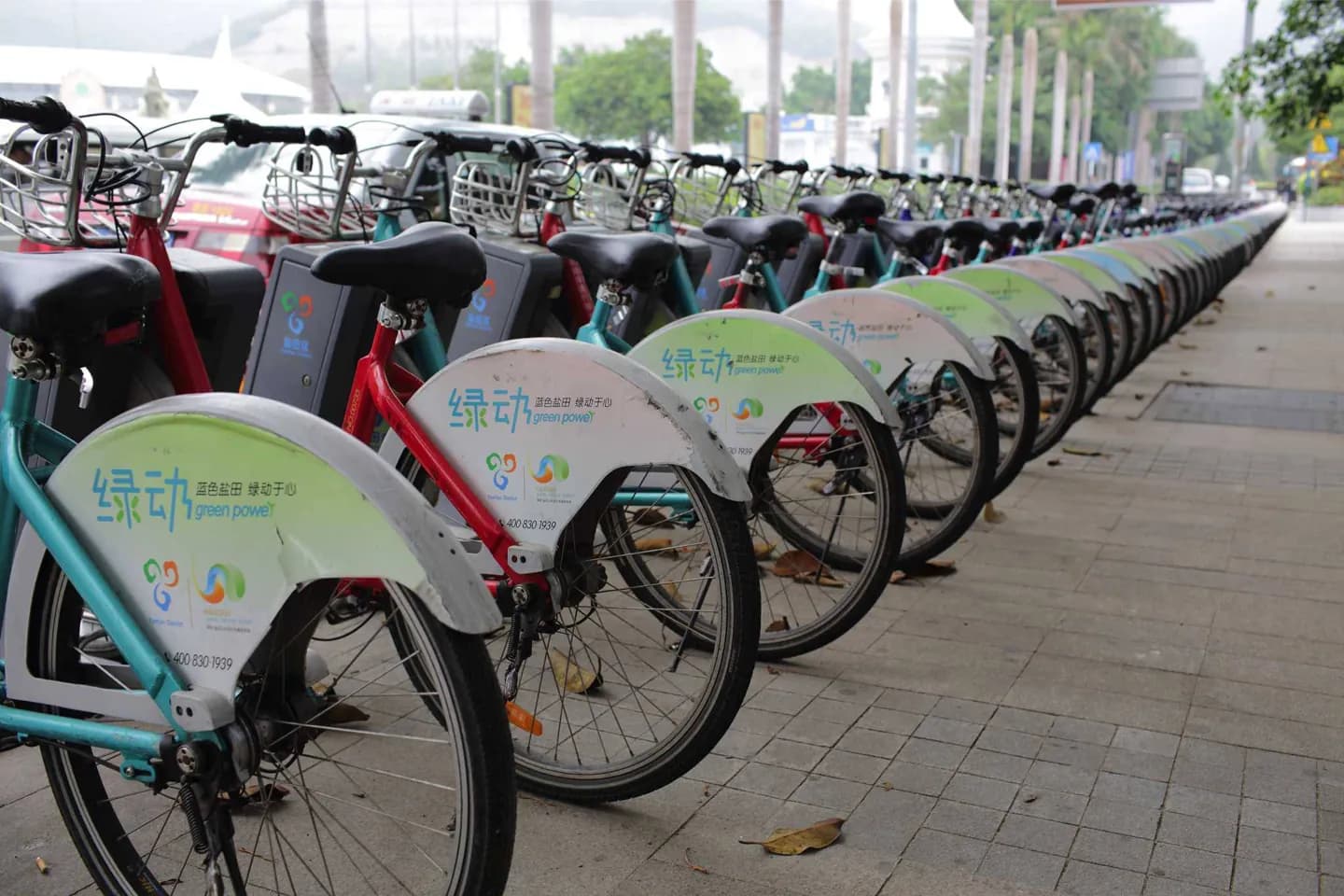 Cycling in Shenzhen · 2