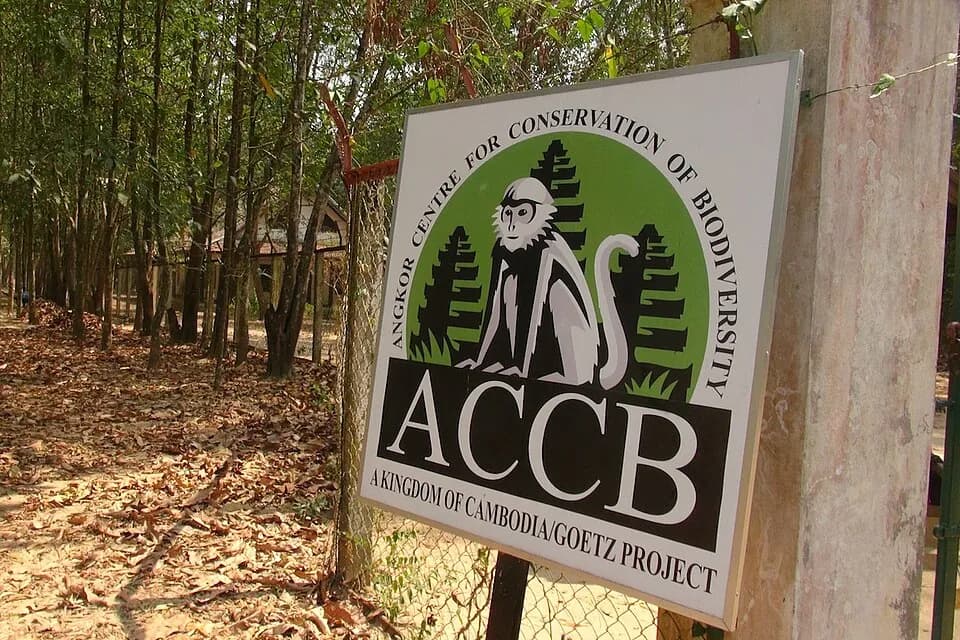 Angkor Zentrum für die Erhaltung der biologischen Vielfalt