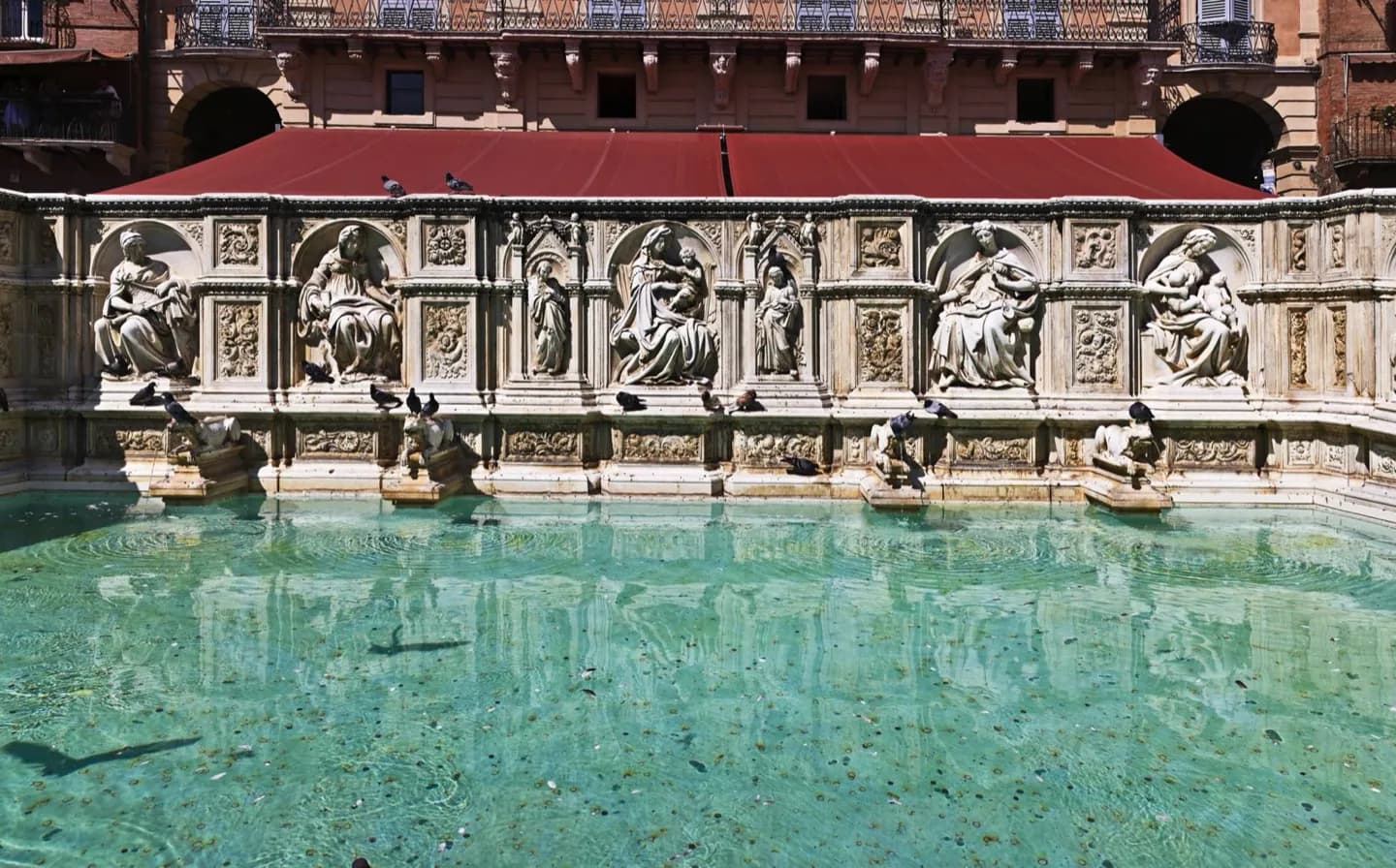 Fonte Gaia