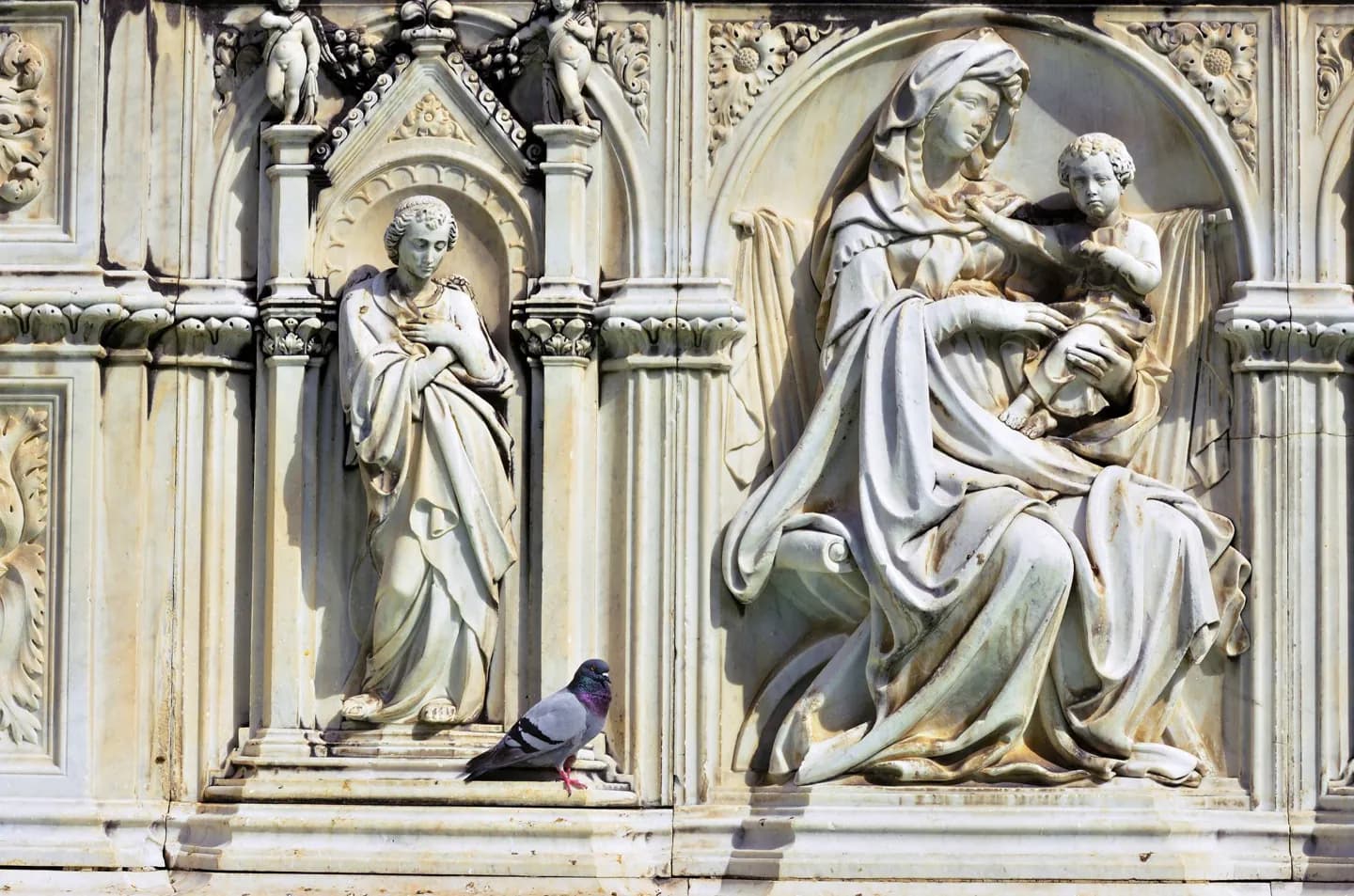 Fuente Gaia · 2
