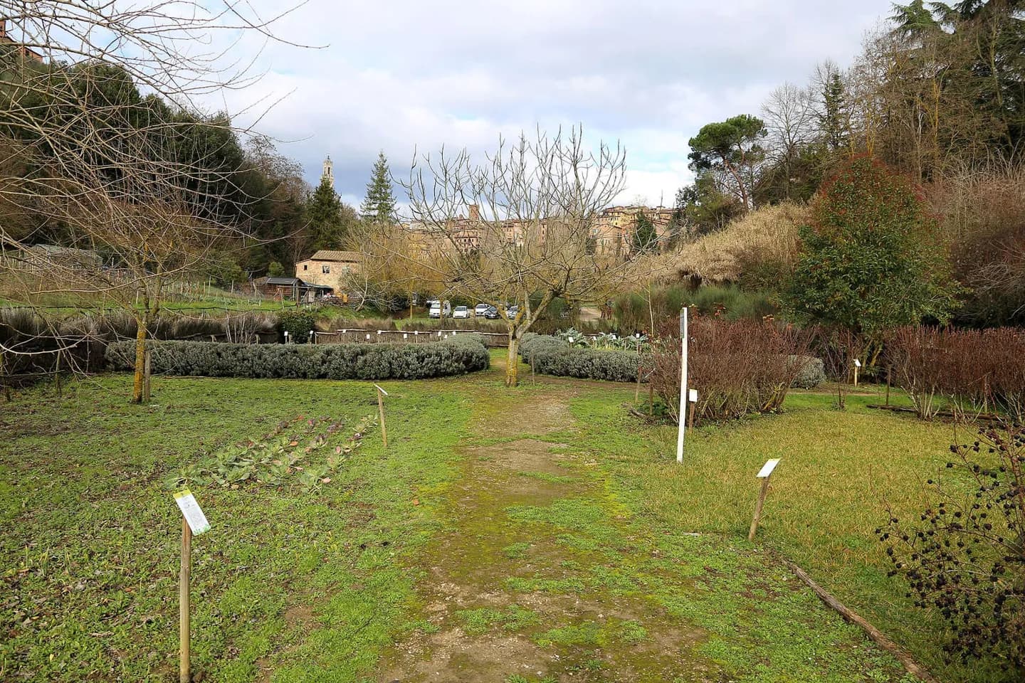 Orto de' Pecci