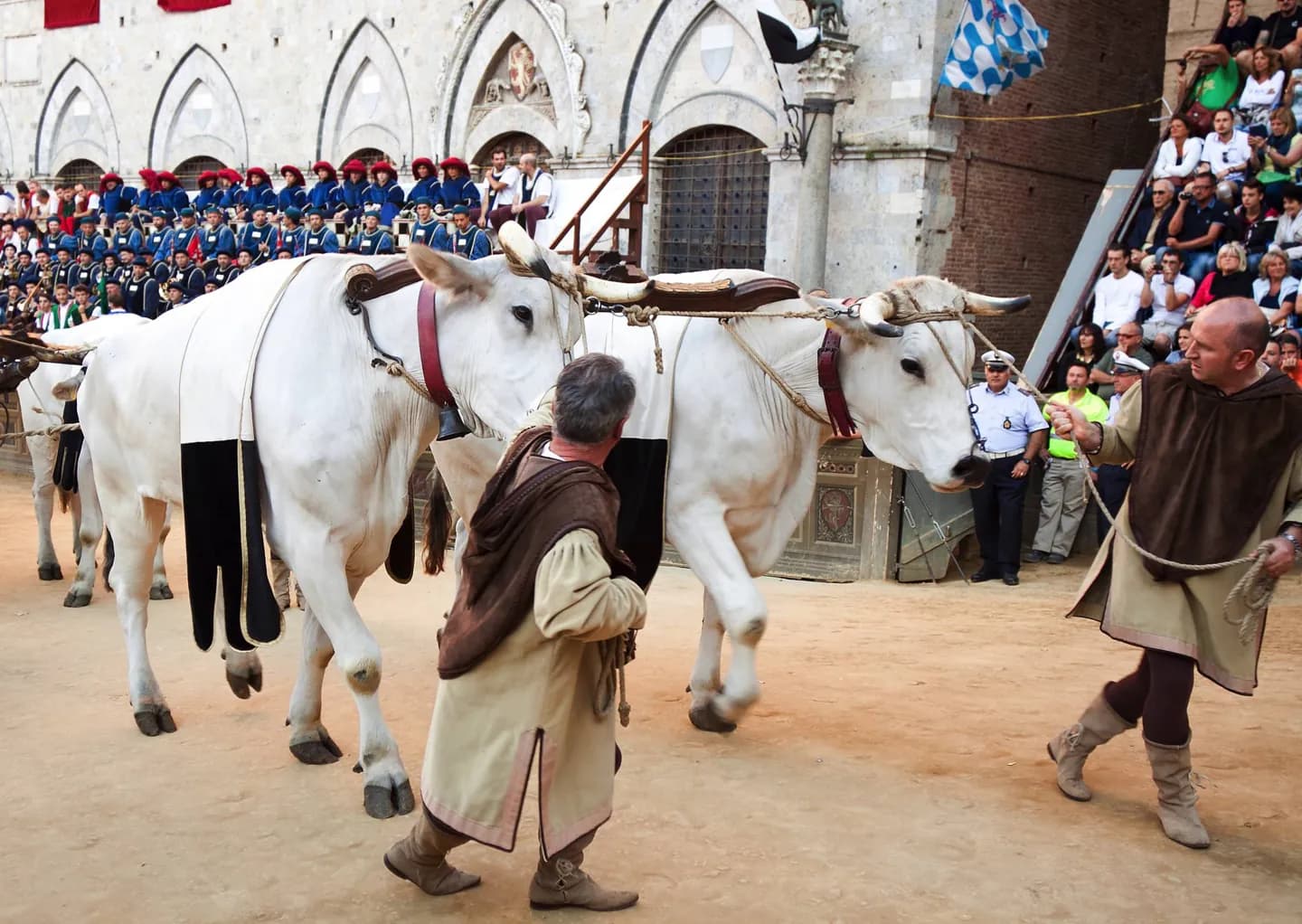 了解Palio di Siena · 2