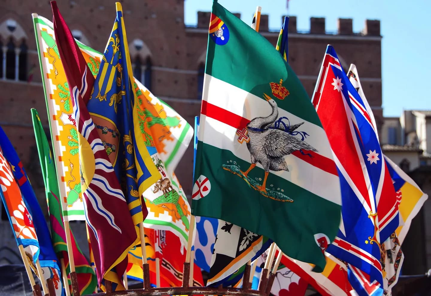 了解Palio di Siena · 3