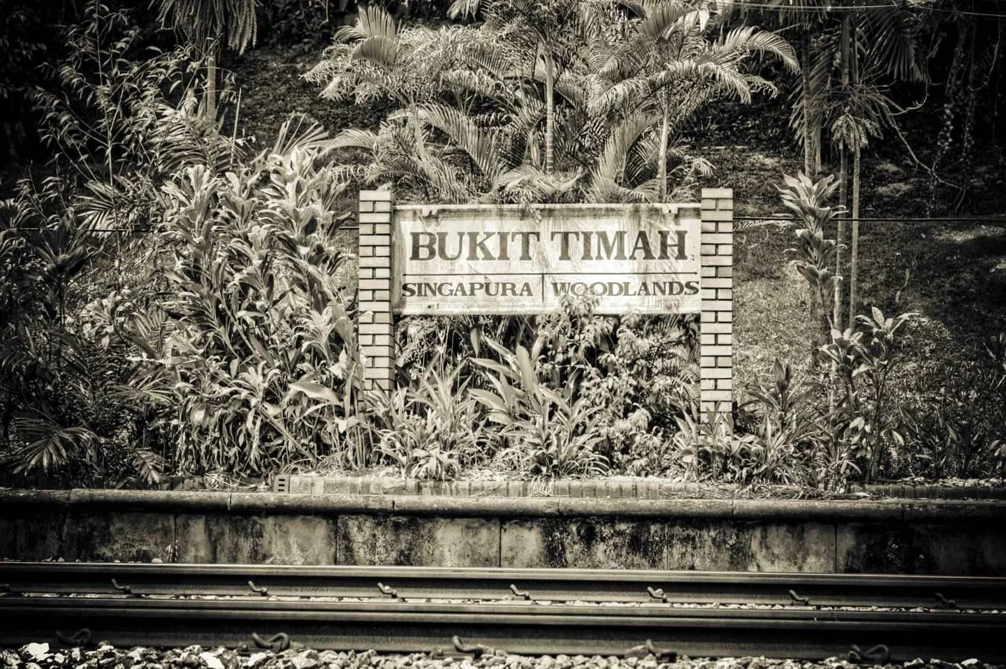 Reserva Natural Bukit Timah