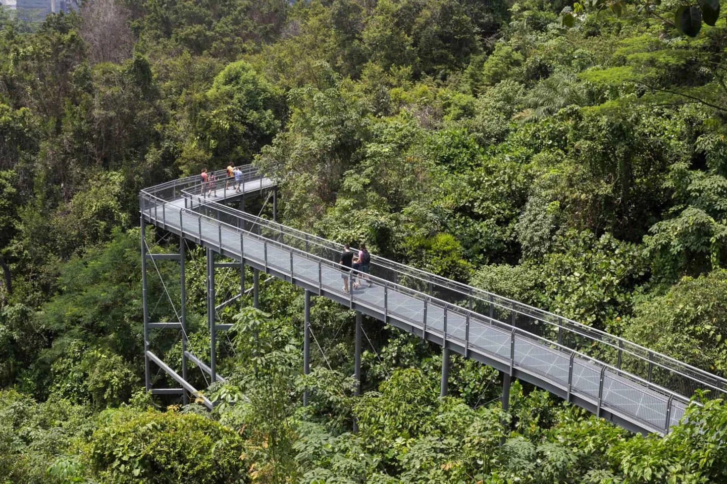 Kent Ridge Park · 2