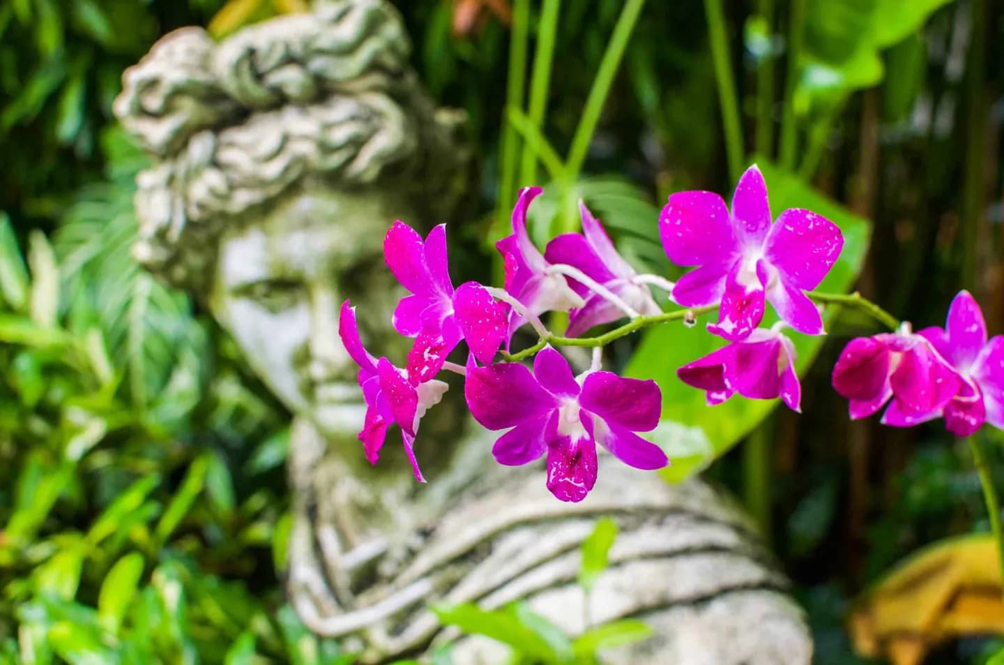 Jardins Botânicos de Cingapura · 2
