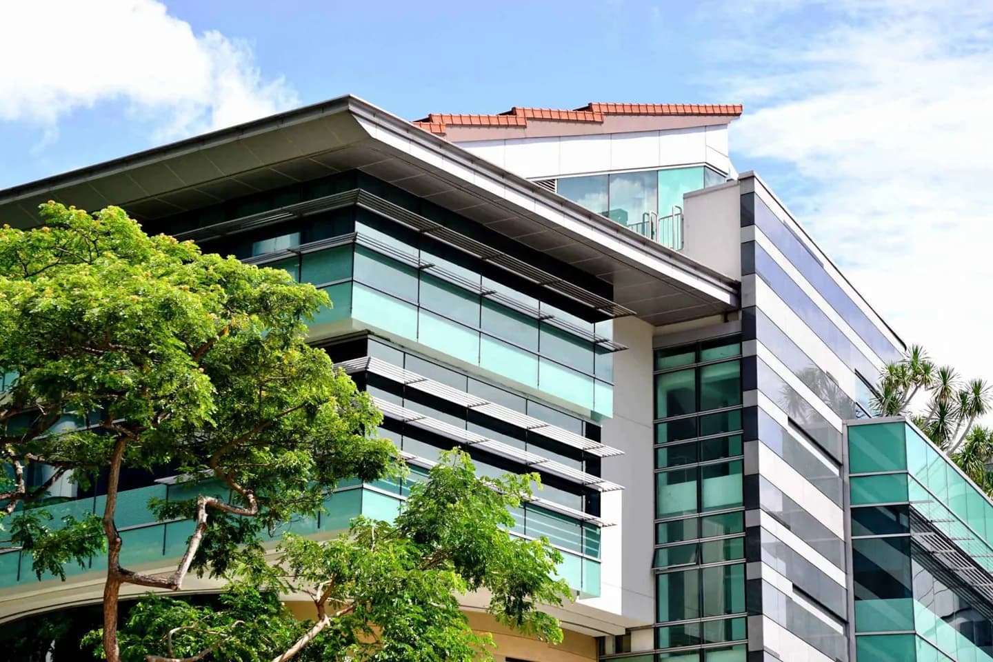 Bildung in Singapur