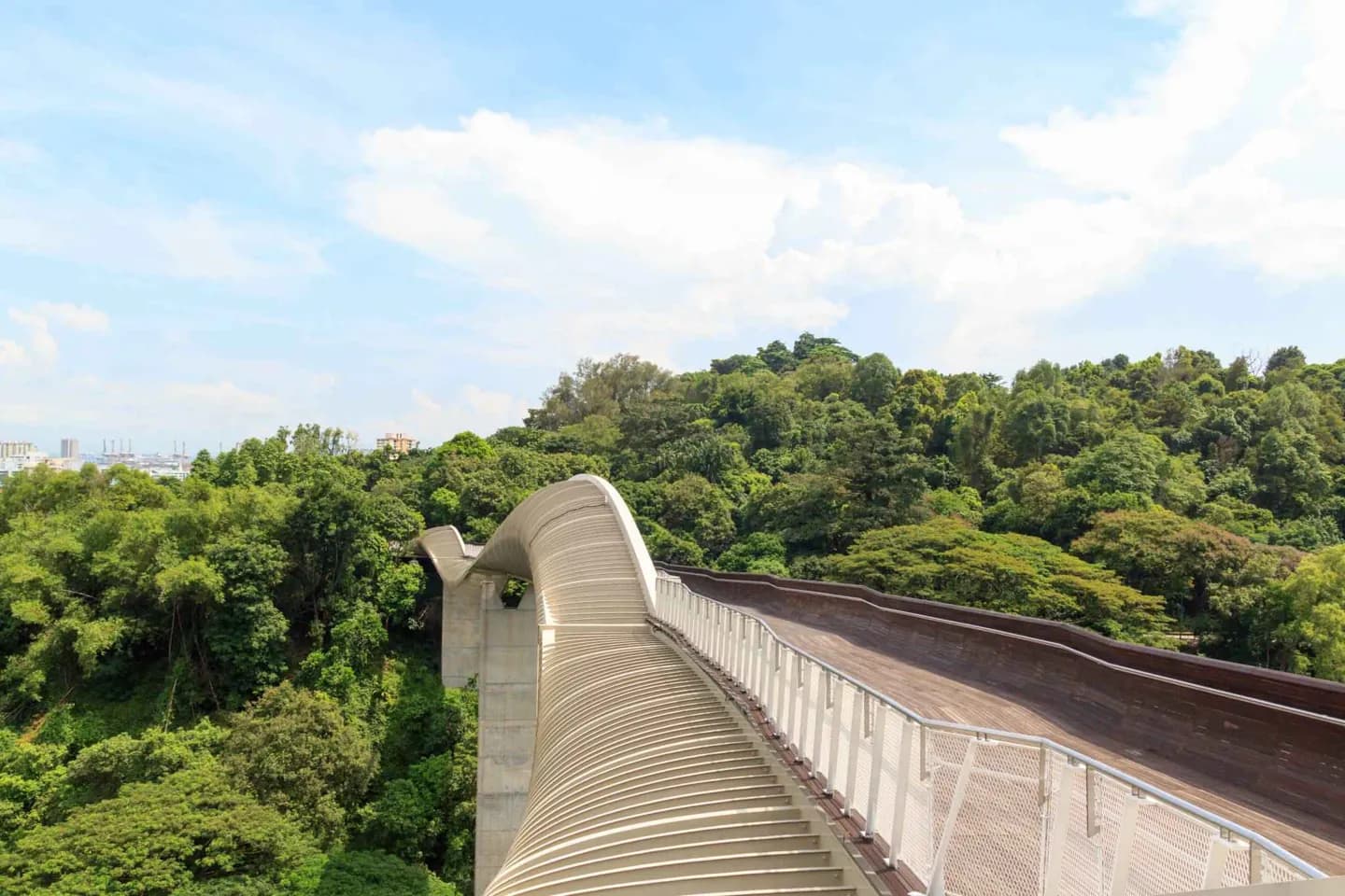 法伯山 · 2