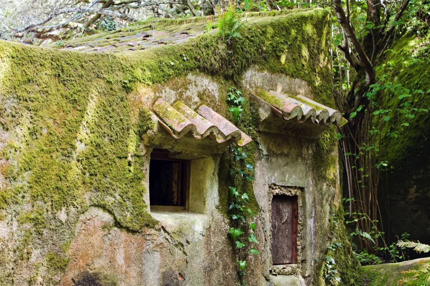 カプチョスの建築を読む · 2